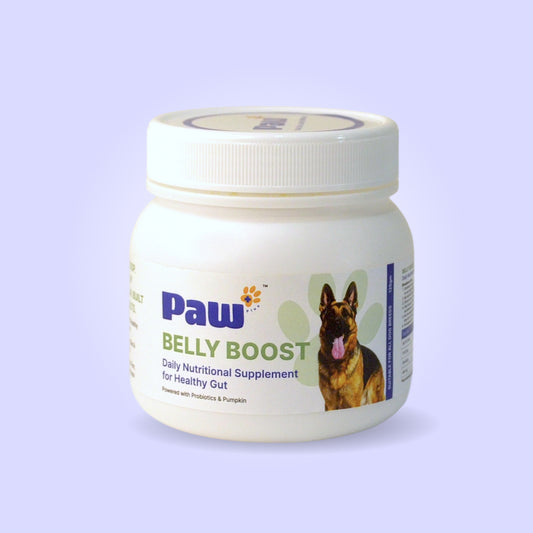 probiotic & prebiotic supplement by Paw+ for dog digestion and gut health