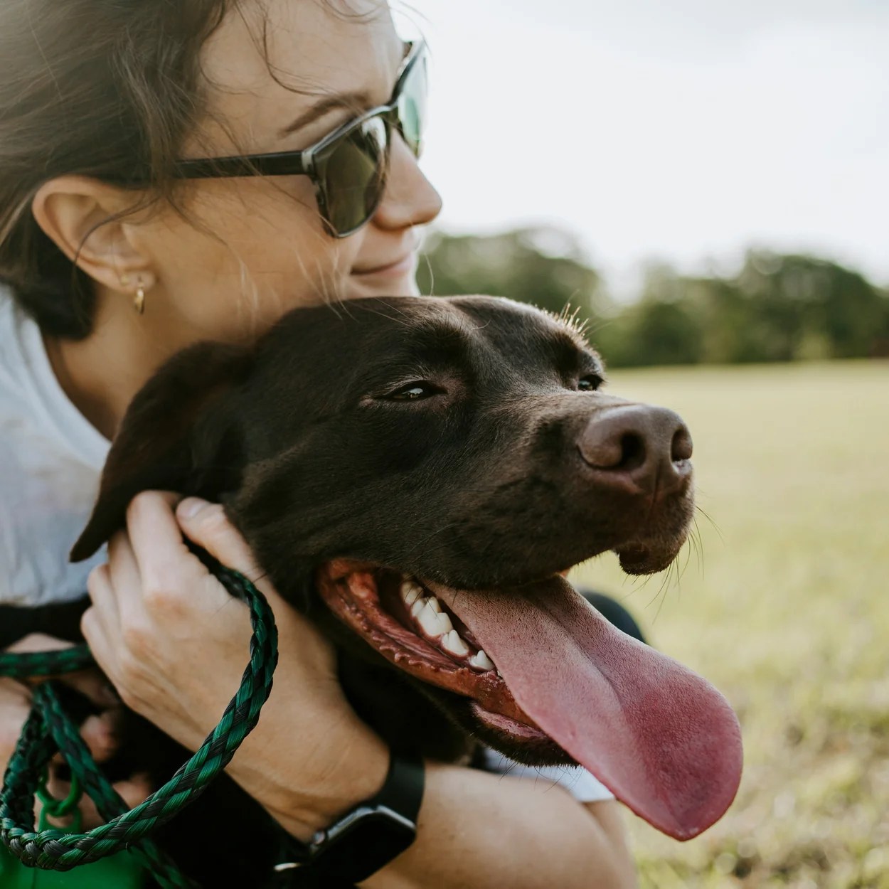 A happy dog