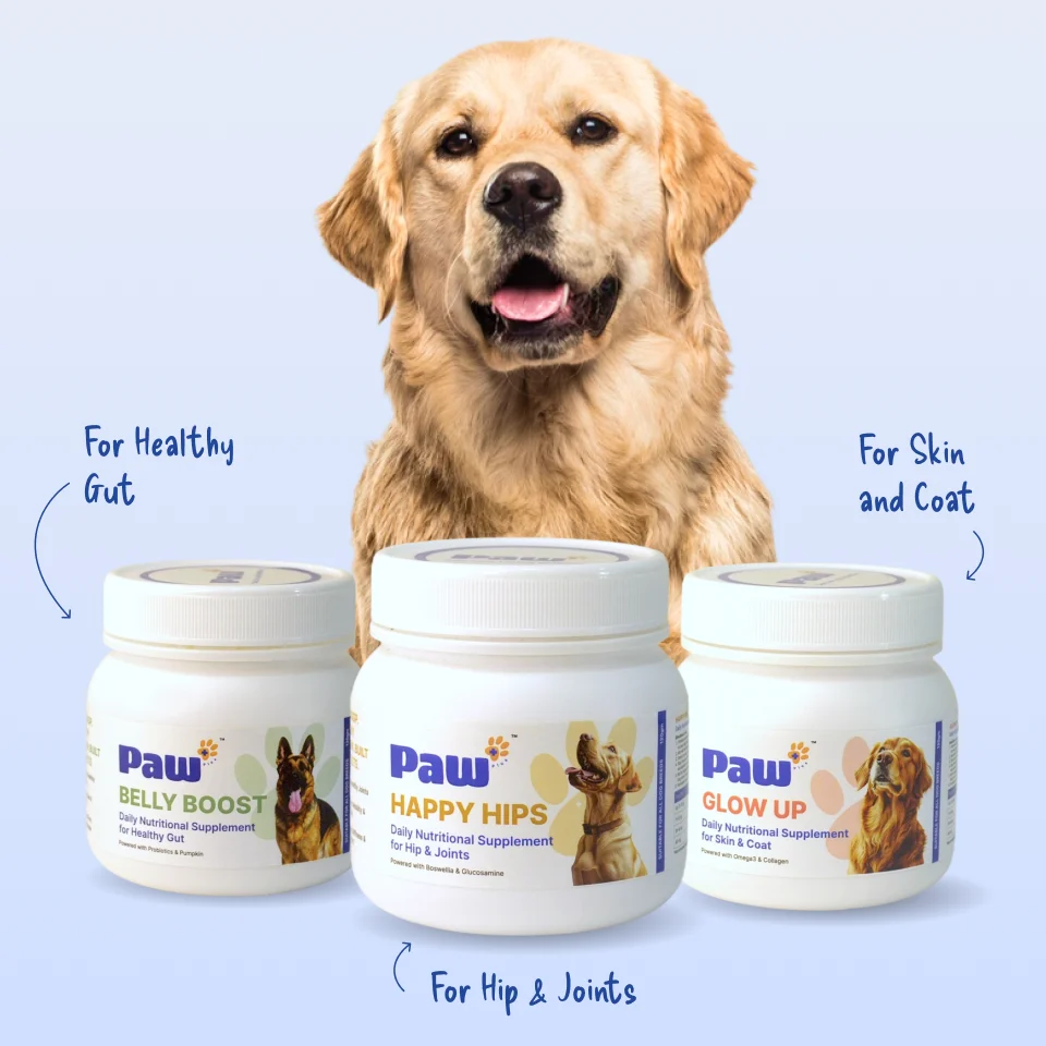 Paw Plus supplements for dogs