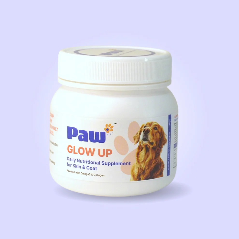 Glow Up skin and coat supplement for dogs