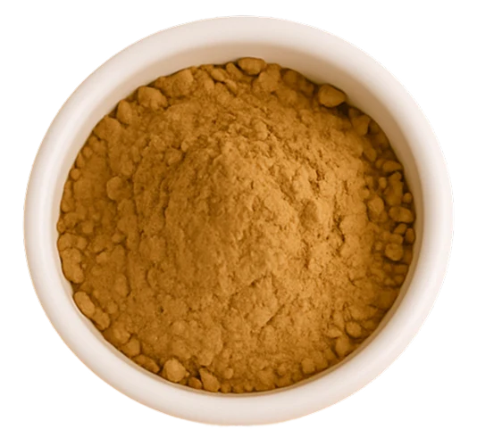 Paw Plus supplement powder in a bowl