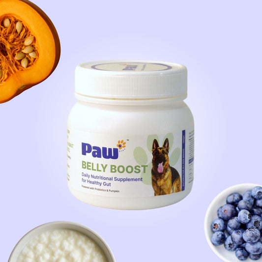  digestive supplement for dogs India, dog probiotic supplement India