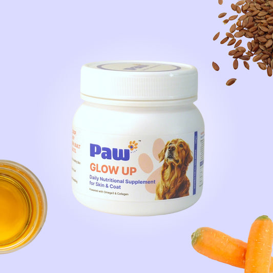 skin and coat supplements for dogs, skin and coat dog supplement, canine supplements