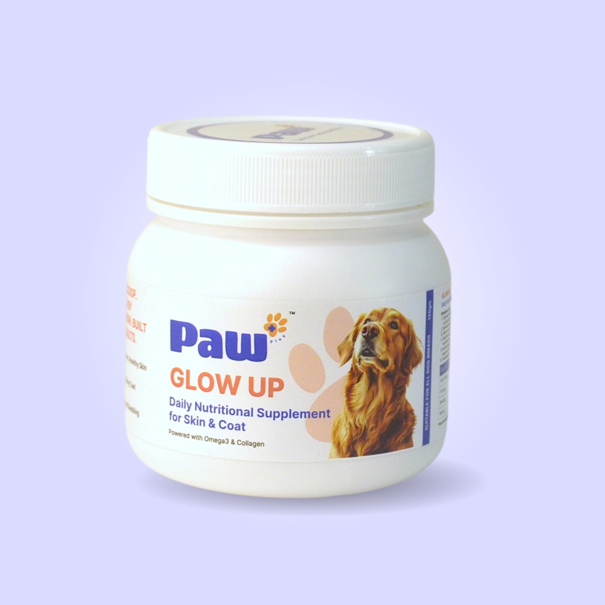 vet-approved dog supplements India, canine prebiotics