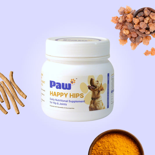 dog joint supplement India