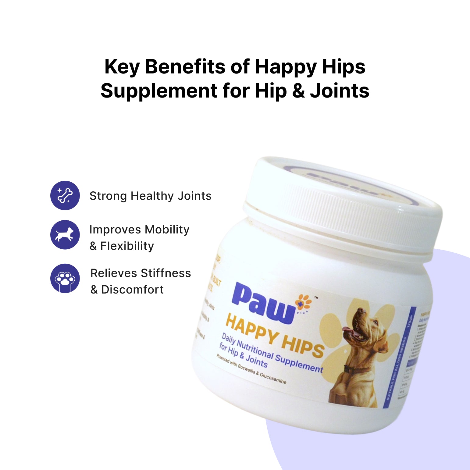 arthritis relief for dogs
